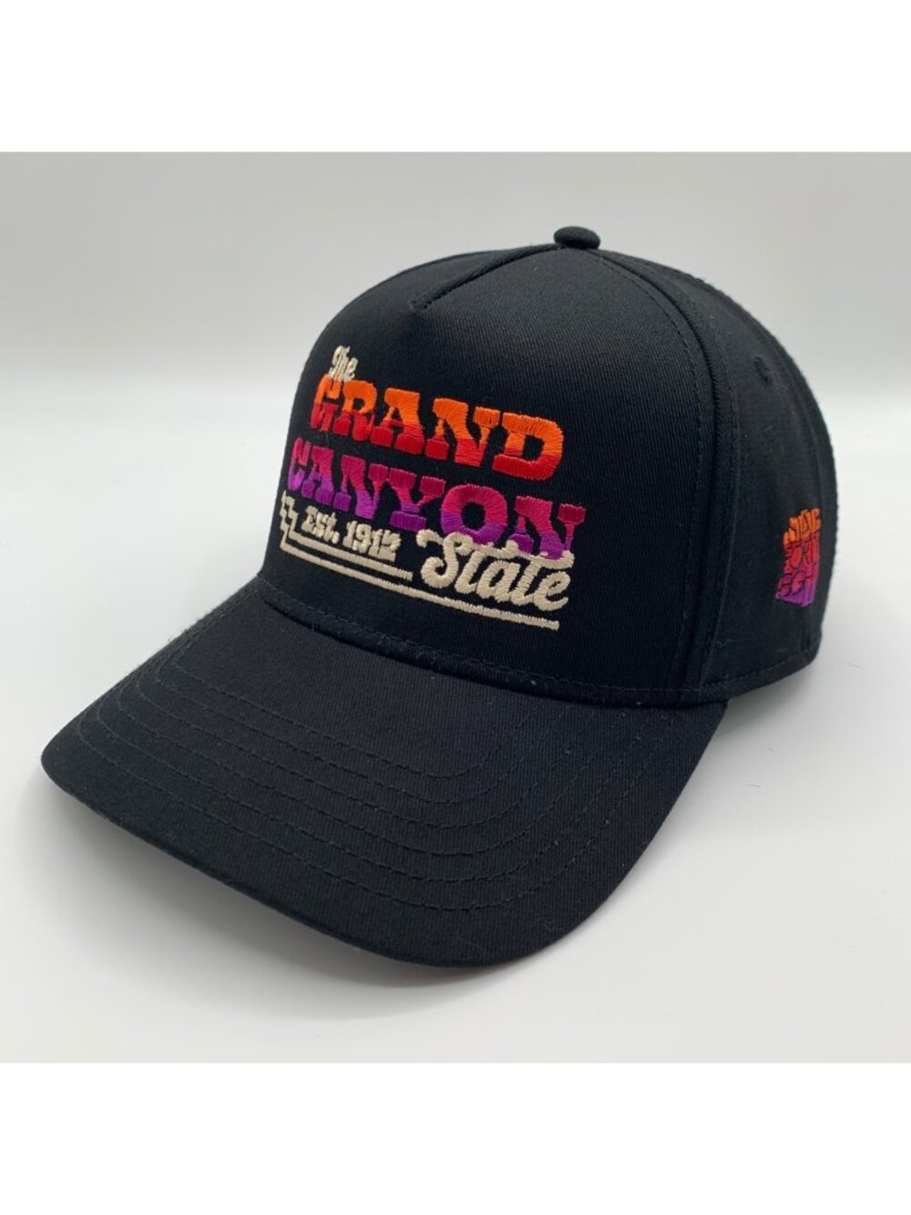 State Forty-Eight Grand Canyon State Mens Black Snapback Hat